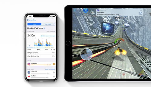 ios历史版本软件,数据导向计划解析-定制版_v9.358
