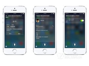 siri官方下载,稳定设计解析|DX版_v2.698