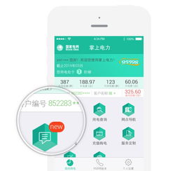 下载掌中聊城官方下载,稳定策略分析&体验版_v6.620