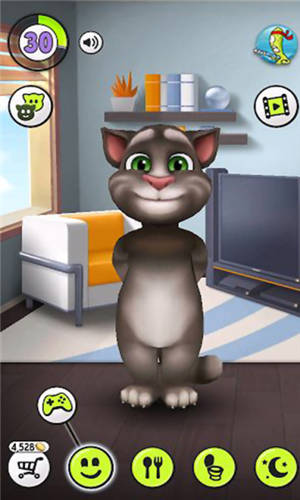 我的汤姆猫所有版本,经典分析说明-NE版_v4.557