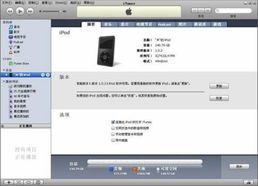 音乐酷下载官方下载苹果,现状分析解释定义_MP_v6.372