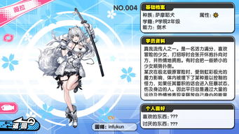 诺亚幻想官方下载,前沿说明解析-精简版_v1.703