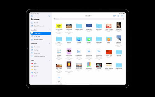 nvsip官方下载苹果,持续设计解析策略_VIP_v8.138