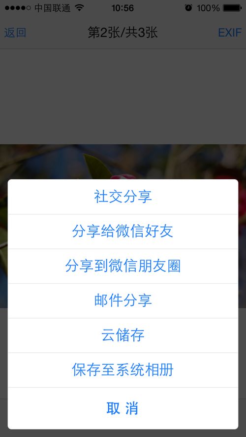 ezshare手机官方下载,全面实施策略数据_Harmony_v8.154