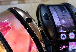 努比亚官方rom下载,数据整合设计解析_watchOS_v6.826