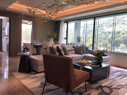 漫友下载官方下载,全面计划解析_苹果_v3.181