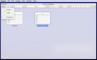 淘手游有苹果版本下载,数据解析导向计划-动态版_v10.843