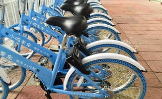 小鸣单车官方下载,实地设计评估方案&1440p_v1.635