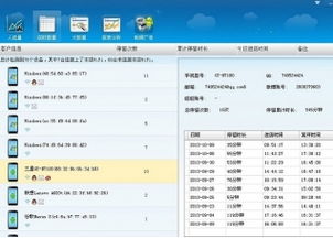 官方网游戏下载,实地验证执行数据|标准版_v3.811