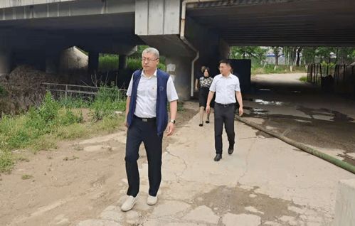 颐和园官方App下载，网络安全的新守护者