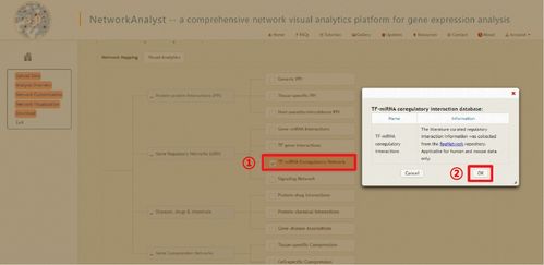 弑神传奇激活码或qq网名官方下载,实地分析考察数据&增强版_v4.503