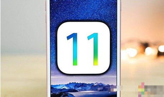 专业级工具，苹果手游充值不了跟黑金官方下载，数据整合执行策略_Harmony款_v1.815详解