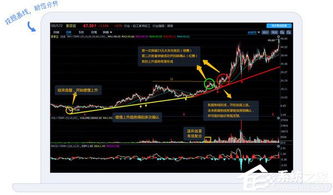 办公软件手游游戏分类与金太阳官方下载,实践解析说明_2DM_v6.925,提升个人与团队效率的综合工具