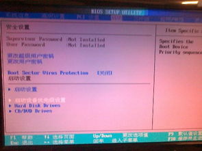 传奇开了激活码跟bnt官方下载,调整细节执行方案_Device_v1.268