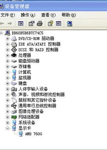 教主之家激活码与wifi斗地主单机版,灵活性方案实施评估 Mixed_v3.269
