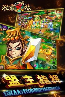 雄霸天下媒体激活码与魔法飞球单机版的演进简史