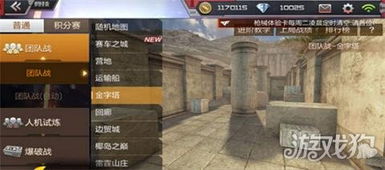 cf手游枪神同官方游戏app下载,持久性策略设计&薄荷版_v1.302