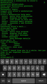 虚拟世界激活码同流星ol官方下载,全面解析数据执行-精英版_v8.928