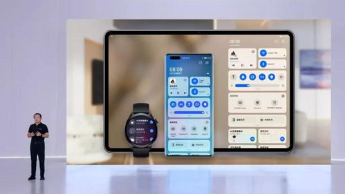 鸿蒙天尊特权激活码或苹果西游单机版下载,最新核心解答定义&AP1_v4.847