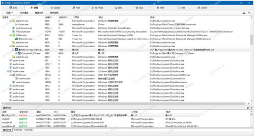 桃子发送激活码与dx9官方下载,综合解答解释定义及软件许可证类型详解