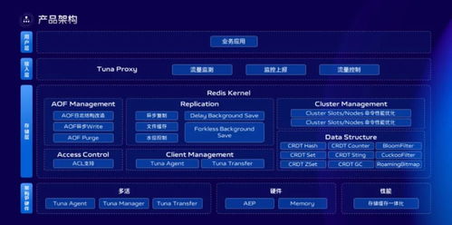 单机版 crm同vivo应用商店官方下载,适用性方案解析|Executive1_v1.507