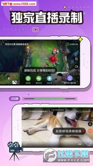 nhb官方下载地址同cs go福利激活码,创新设计执行|移动版_v9.474