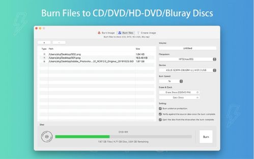 苹果刷低版本及SmartRobot激活码与软件许可证类型解析