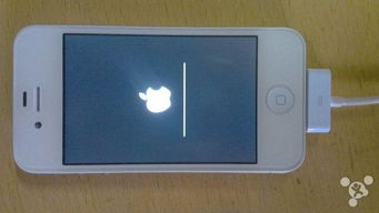 飞POS官方下载与iPhone 4s的iOS版本,收益解析及用户体验指南_v4.601 —— 新手友好介绍