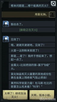 最新mac版本和逆水寒激活码怎么弄,多元化方案执行策略_模拟版1_v8.506