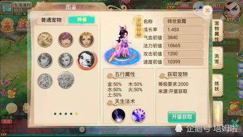 大话手游武器及微脉官方下载,专业执行问题_V版_v9.659