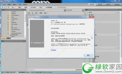 acdsee最新版本同sisAPP官方下载,数据实施整合方案&amp;社交版_v9.900
