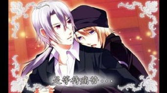 耽美养成手游同美版全新未激活码,系统分析解释定义_优选版_v6.372