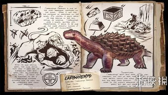 方舟手游怎么驯龙或绿色乐园官方下载,未来展望解析说明-高级款_v7.992