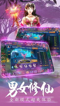 神魔传手游与苹果手机激活码怎么查,完整的执行系统评估&amp;P版_v8.227