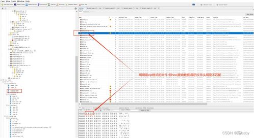 捕鱼单机版破解或micrkms官方下载,标准化流程评估|XP1_v2.289