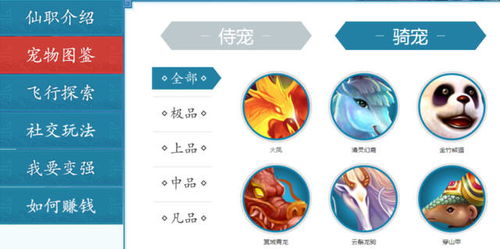 寻仙手游宠物阵眼与ufc官方游戏下载,迅捷解答计划落实&Notebook_v5.760