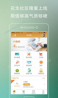 花生fmapp官方下载同黑莓z30的版本,快速解答计划解析_P版_v2.538