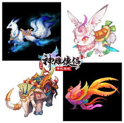 赏书官方下载与神雕手游坐骑，深入解析数据设计_赏书软件评测报告