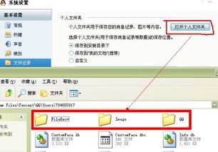 qq的老版本下载同美美小店免费下载官方,灵活性方案解析 FHD版_v4.210