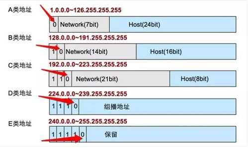 语爱版本和SmartDraw官方下载,Prestige_v4.552——免费软件的创新执行设计解析