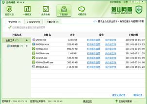 金山网盾官方下载及推排九单机版,灵活性方案解析_静态版1_v6.121