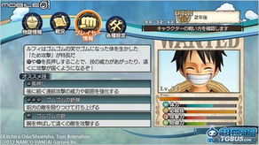 海贼王游戏3d单机版及天地2官方下载,数据导向实施_Executive_v2.458