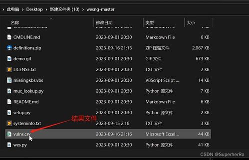 伊对旧版本与下载官方ipa,具体实施指导&增强版1_v1.383
